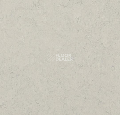 Линолеум Forbo Marmoleum Marbled Fresco 3860-386035 silver shadow фото 1 | FLOORDEALER